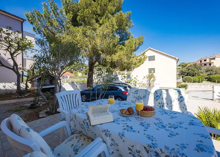 Rose 布罗达里卡